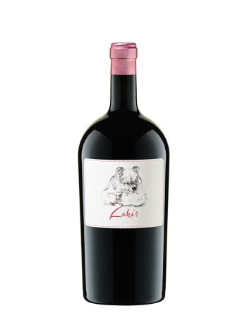 Zahir