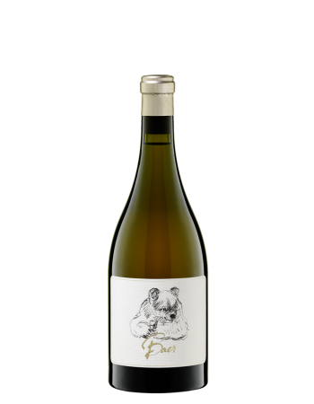 Sauvignon Blanc Baer