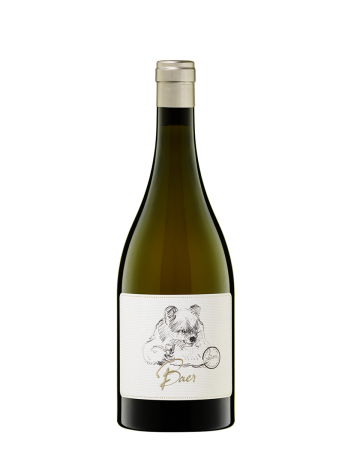 Sauvignon Blanc Baer