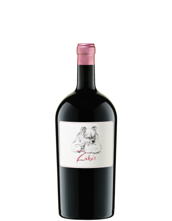 Zahir