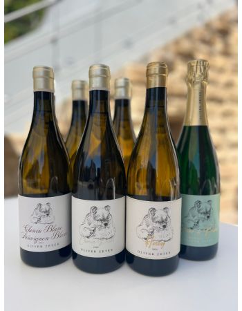 The Chenin Experience